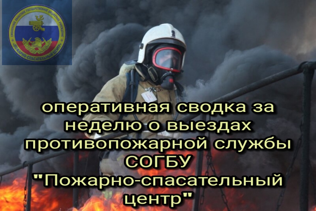 Оперативные сводки