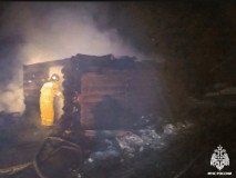 пожар в деревне Гринево - фото - 1