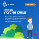 осторожно, клещ - фото - 4