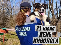 с Днём кинолога - фото - 1
