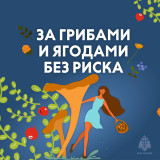 за грибами и ягодами без риска - фото - 9