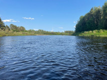 обнаружено тело предположительно утонувшего мужчины - фото - 1