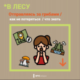 безопасность в лесу - фото - 9