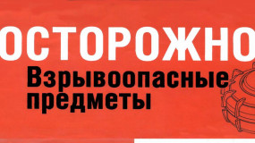 26.10.2022 согласно поступившим заявкам, специалистами отряда специальных работ профессиональной аварийно-спасательной службы СОГБУ «Пожарно-спасательный центр» изъяты и обезврежены взрывоопасные предметы времен ВОВ - фото - 1