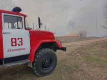 тушение сухой растительности в деревне старая Присмара, работниками 83 пожарной части противопожарной службы проведена работа по ликвидации возгорания - фото - 1