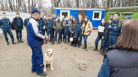 студенты Смоленской академии профессионального образования продолжают познавать работу четвероногих спасателей пожарно-спасательного центра. Работники отряда рассказали об особенностях профессии кинолога - фото - 1