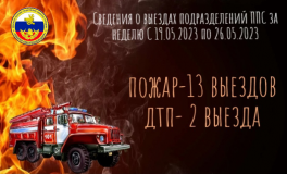 сведения о выездах подразделений ППС за неделю С 19.05.2023 по 26.05.2023 - фото - 1