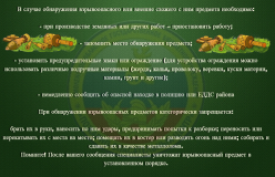 25.07.2023 в соответствии с поступившими заявками, специалистами отряда специальных работ профессиональной аварийно-спасательной службы СОГБУ «Пожарно-спасательный центр» изъяты и обезврежены взрывоопасные предметы времен ВОВ - фото - 1