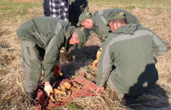 14 августа, специалистами отряда специальных работ профессиональной аварийно-спасательной службы СОГБУ «Пожарно-спасательный центр» обезврежены взрывоопасные предметы времен ВОВ - фото - 1