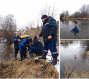 продолжается поиск пропавшего ребенка на водоемах в районе с. Екимовичи Рославльского района - фото - 1